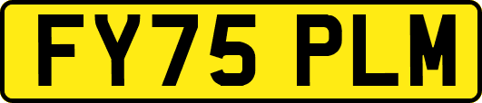 FY75PLM