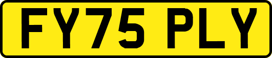 FY75PLY