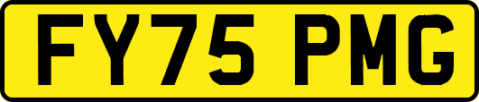 FY75PMG