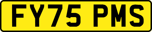 FY75PMS