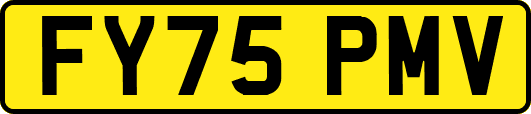 FY75PMV
