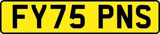 FY75PNS