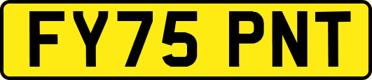 FY75PNT