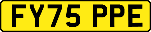 FY75PPE