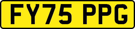 FY75PPG
