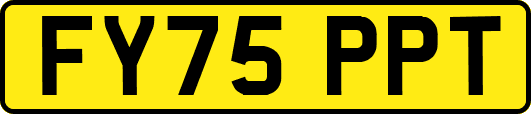 FY75PPT