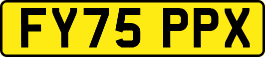 FY75PPX