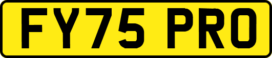 FY75PRO