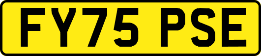 FY75PSE