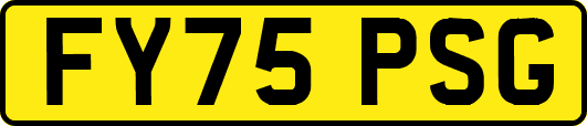 FY75PSG