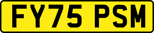 FY75PSM