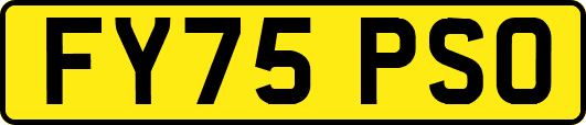 FY75PSO