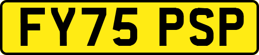 FY75PSP