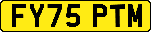 FY75PTM