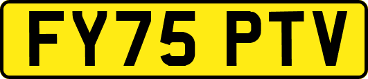 FY75PTV