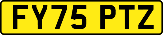 FY75PTZ
