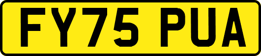 FY75PUA