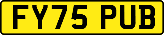 FY75PUB