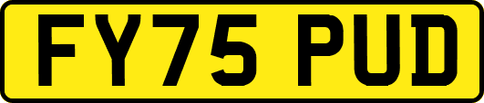 FY75PUD