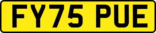 FY75PUE