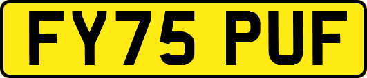 FY75PUF