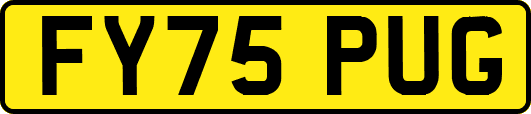 FY75PUG