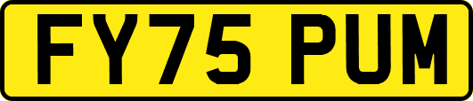 FY75PUM