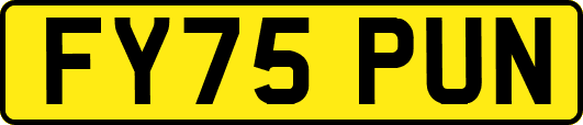 FY75PUN