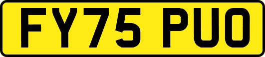 FY75PUO