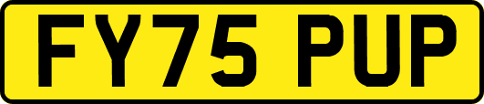 FY75PUP