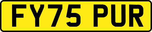 FY75PUR