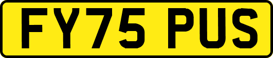 FY75PUS