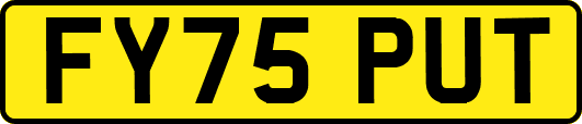 FY75PUT