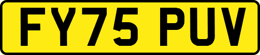 FY75PUV