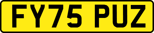 FY75PUZ
