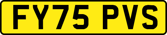 FY75PVS