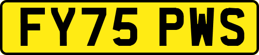 FY75PWS