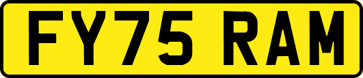 FY75RAM