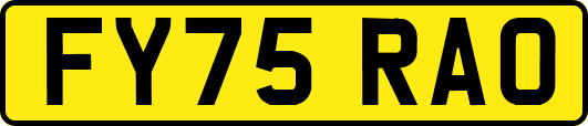 FY75RAO