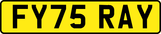 FY75RAY