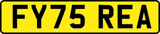 FY75REA