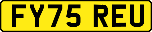 FY75REU