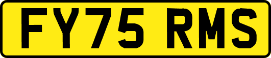 FY75RMS
