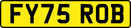 FY75ROB