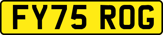 FY75ROG