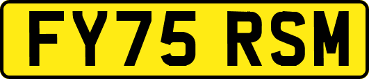 FY75RSM