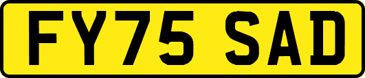 FY75SAD