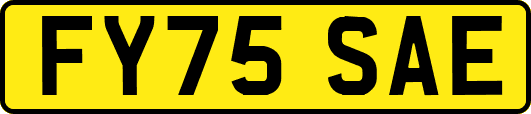 FY75SAE
