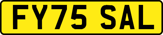FY75SAL