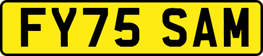 FY75SAM